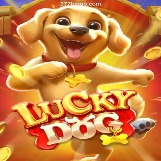 Exploring the Exciting World of LuckyDog: Rules and Gameplay Unveiled