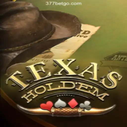 Exploring the Game of Texas Hold'em